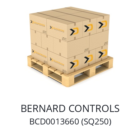   BERNARD CONTROLS BCD0013660 (SQ250)