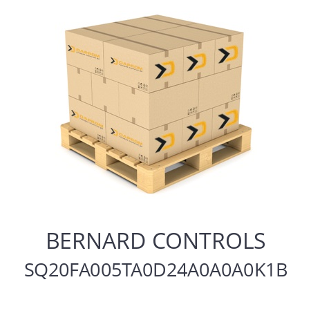   BERNARD CONTROLS SQ20FA005TA0D24A0A0A0K1B