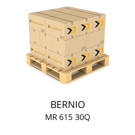  BERNIO MR 615 30Q