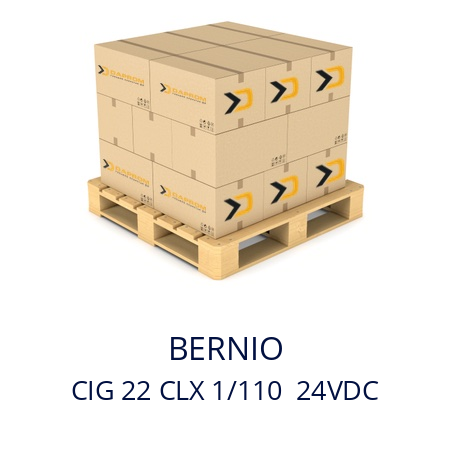   BERNIO CIG 22 CLX 1/110  24VDC