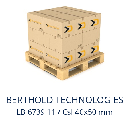   BERTHOLD TECHNOLOGIES LB 6739 11 / CsI 40x50 mm