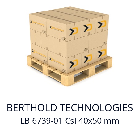   BERTHOLD TECHNOLOGIES LB 6739-01 CsI 40x50 mm