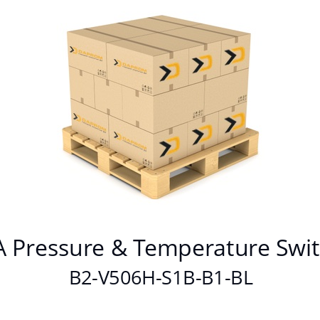   BETA Pressure & Temperature Switches B2-V506H-S1B-B1-BL