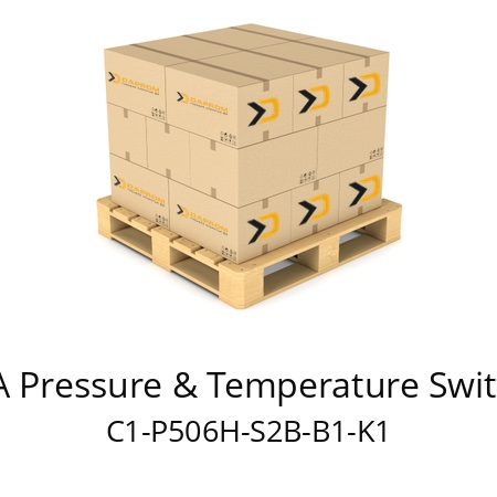   BETA Pressure & Temperature Switches C1-P506H-S2B-B1-K1