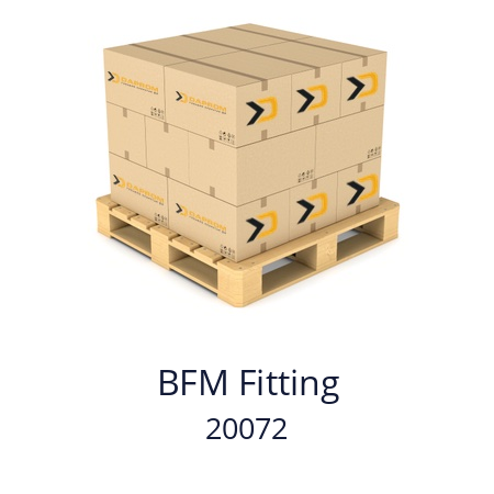   BFM Fitting 20072