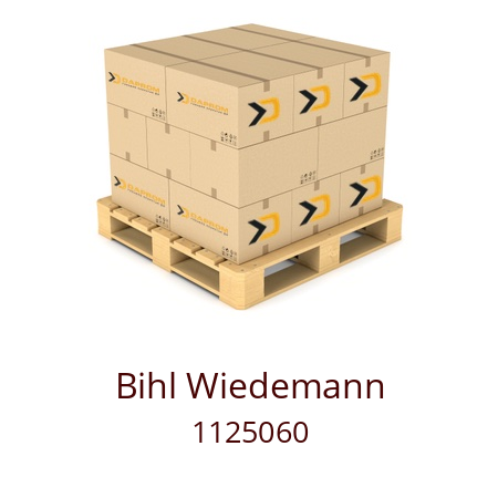   Bihl Wiedemann 1125060