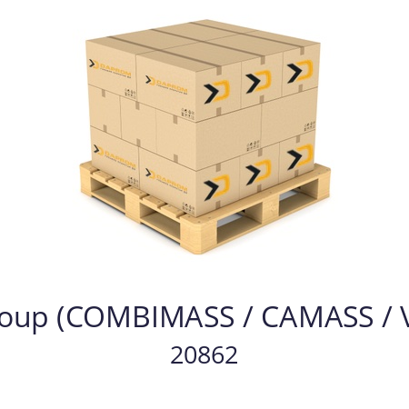   BINDER Group (COMBIMASS / CAMASS / VACOMASS) 20862