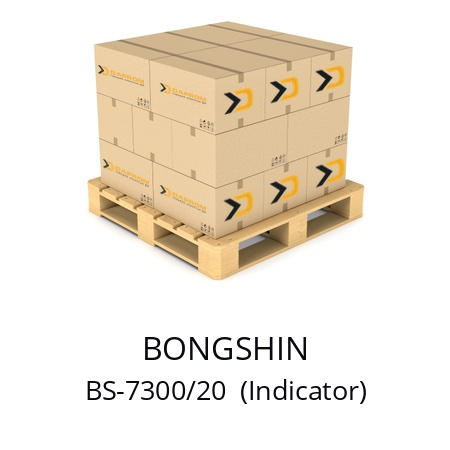   BONGSHIN BS-7300/20  (Indicator)