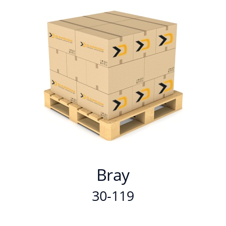   Bray 30-119