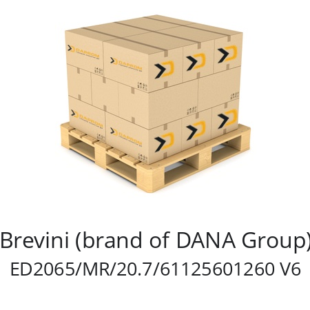   Brevini (brand of DANA Group) ED2065/MR/20.7/61125601260 V6