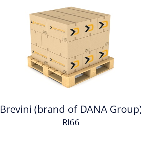   Brevini (brand of DANA Group) RI66