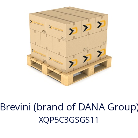   Brevini (brand of DANA Group) XQP5C3GSGS11