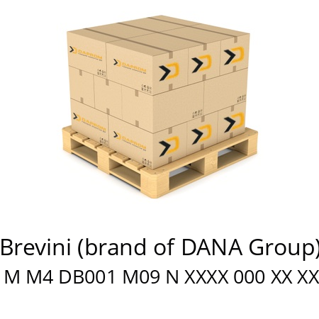   Brevini (brand of DANA Group) HR 100 M M4 DB001 M09 N XXXX 000 XX XX 03K XX