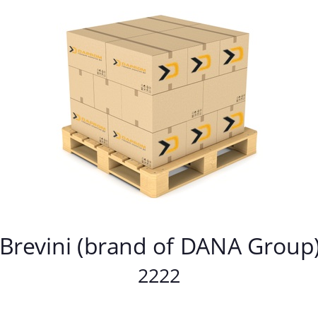   Brevini (brand of DANA Group) 2222