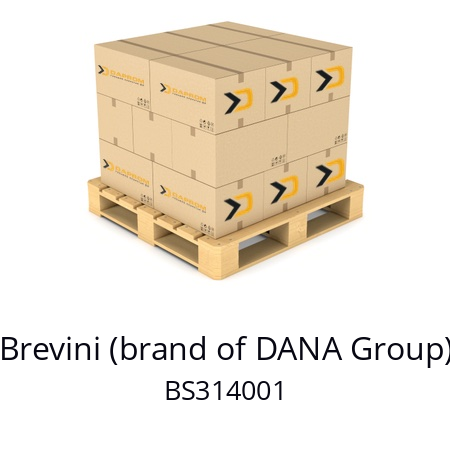   Brevini (brand of DANA Group) BS314001