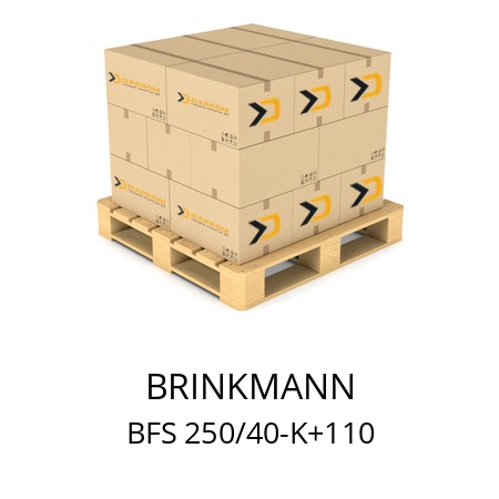   BRINKMANN BFS 250/40-K+110