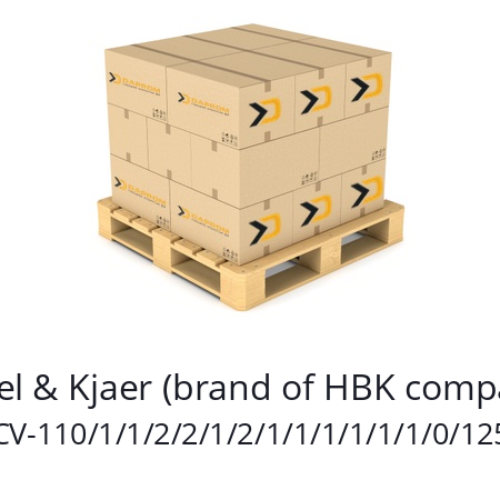   Brüel & Kjaer (brand of HBK company) CV-110/1/1/2/2/1/2/1/1/1/1/1/1/0/125