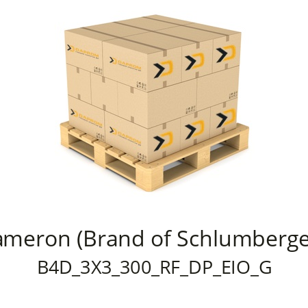   Cameron (Brand of Schlumberger ) B4D_3X3_300_RF_DP_EIO_G