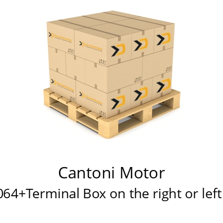   Cantoni Motor 214064+Terminal Box on the right or left side