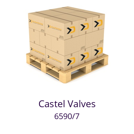   Castel Valves 6590/7