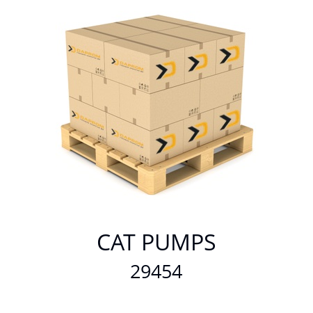   CAT PUMPS 29454