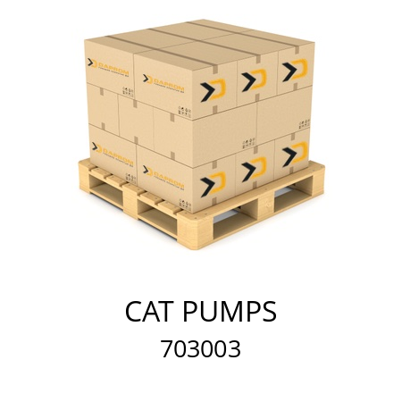   CAT PUMPS 703003