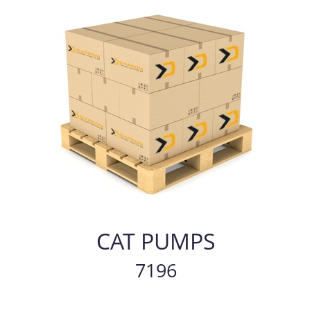   CAT PUMPS 7196