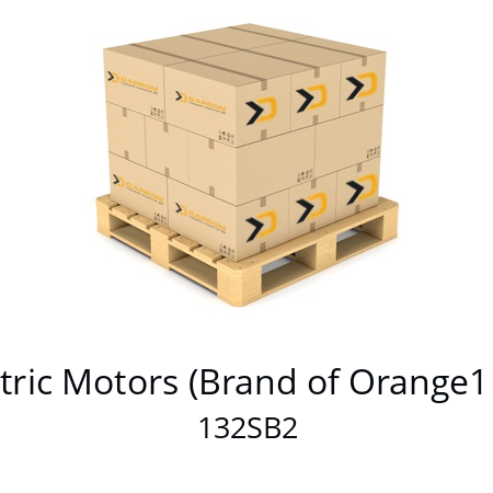   CEG Electric Motors (Brand of Orange1 Holding) 132SB2