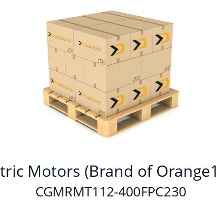   CEG Electric Motors (Brand of Orange1 Holding) CGMRMT112-400FPC230