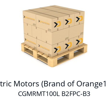   CEG Electric Motors (Brand of Orange1 Holding) CGMRMT100L B2FPC-B3