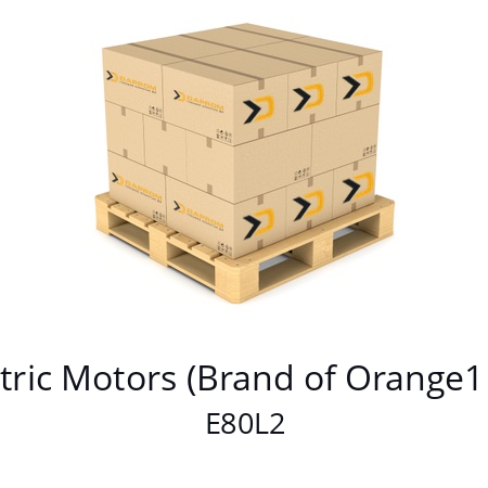   CEG Electric Motors (Brand of Orange1 Holding) E80L2