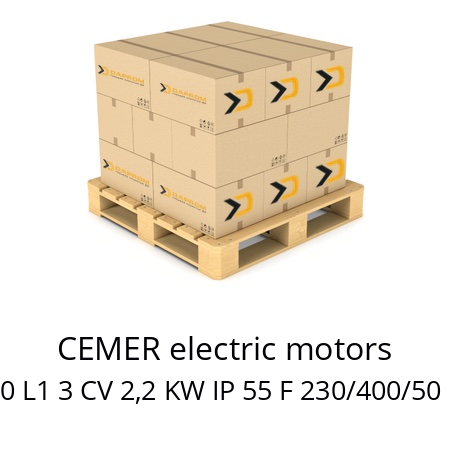   CEMER electric motors 4 IE2-MSE 100 L1 3 CV 2,2 KW IP 55 F 230/400/50 B14G 200/28