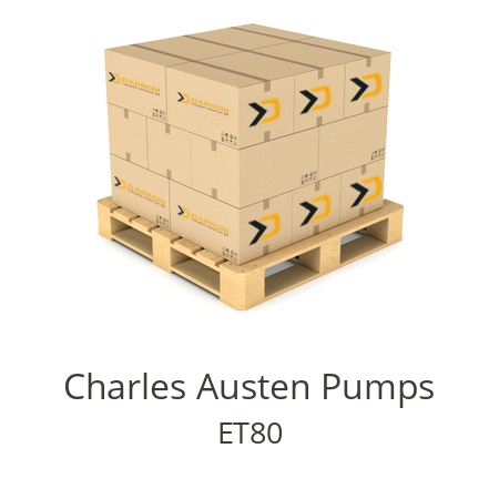   Charles Austen Pumps ET80