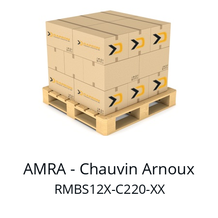   AMRA - Chauvin Arnoux RMBS12X-C220-XX