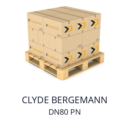   CLYDE BERGEMANN DN80 PN