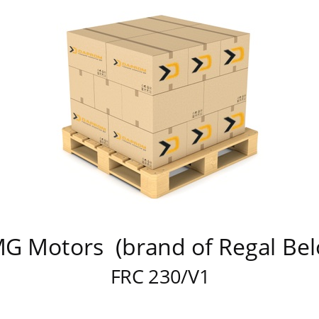   CMG Motors  (brand of Regal Beloit) FRC 230/V1