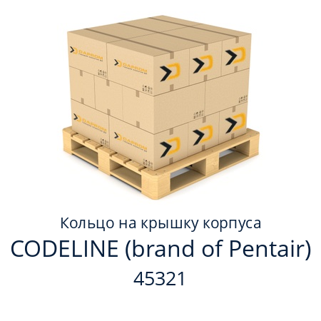 Кольцо на крышку корпуса  CODELINE (brand of Pentair) 45321