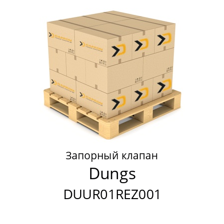 Запорный клапан  Dungs DUUR01REZ001