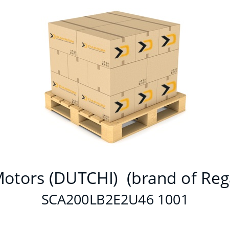   Dutchi Motors (DUTCHI)  (brand of Regal Beloit) SCA200LB2E2U46 1001