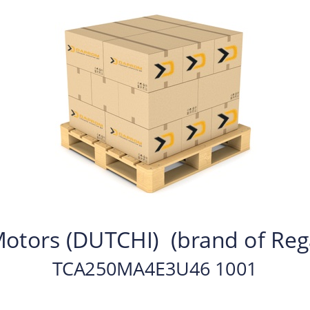   Dutchi Motors (DUTCHI)  (brand of Regal Beloit) TCA250MA4E3U46 1001