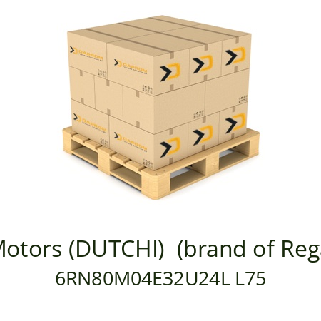   Dutchi Motors (DUTCHI)  (brand of Regal Beloit) 6RN80M04E32U24L L75