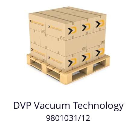   DVP Vacuum Technology 9801031/12