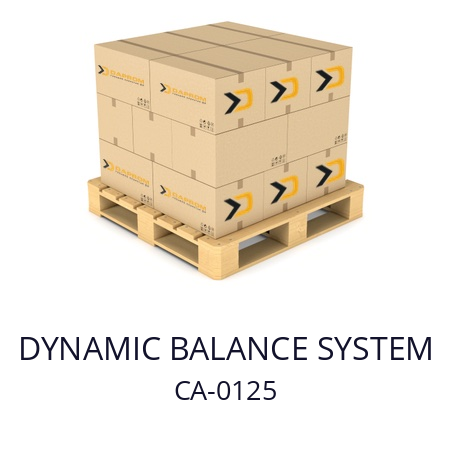   DYNAMIC BALANCE SYSTEM CA-0125