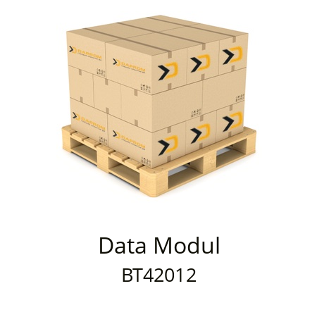  BT42012 Data Modul 