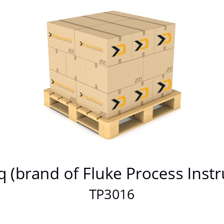   Datapaq (brand of Fluke Process Instruments) TP3016