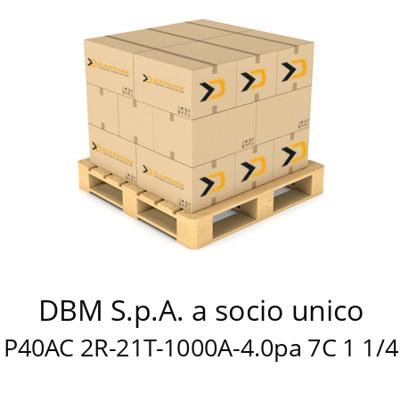   DBM S.p.A. a socio unico P40AC 2R-21T-1000A-4.0pa 7C 1 1/4