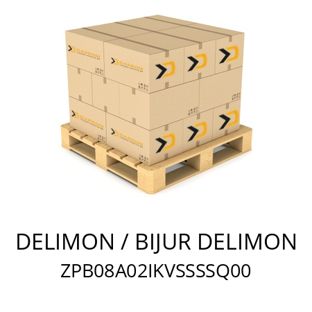   DELIMON / BIJUR DELIMON ZPB08A02IKVSSSSQ00