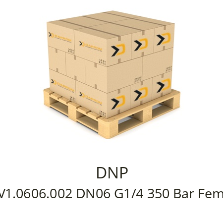  PAV1.0606.002 DN06 G1/4 350 Bar Female DNP 