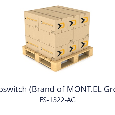   Euroswitch (Brand of MONT.EL Group) ES-1322-AG