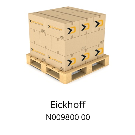   Eickhoff N009800 00